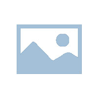 “利奇馬”帶來平均降水89.8毫米