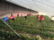 萊西心樂家庭農(nóng)場