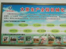 平度市楊家頂子蔬菜生產(chǎn)專業(yè)合作社