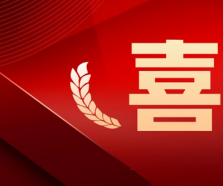 青島農(nóng)擔(dān)公司申報(bào)項(xiàng)目榮獲2023年度青島市金融創(chuàng)新二等獎(jiǎng)