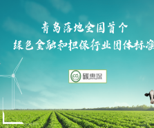 創(chuàng)新碳排放核算新方法 青島落地全國首個(gè)綠色金融和擔(dān)保行業(yè)團(tuán)體標(biāo)準(zhǔn)