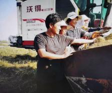 【直通車】青島建立信貸直通車“1166”工作機制